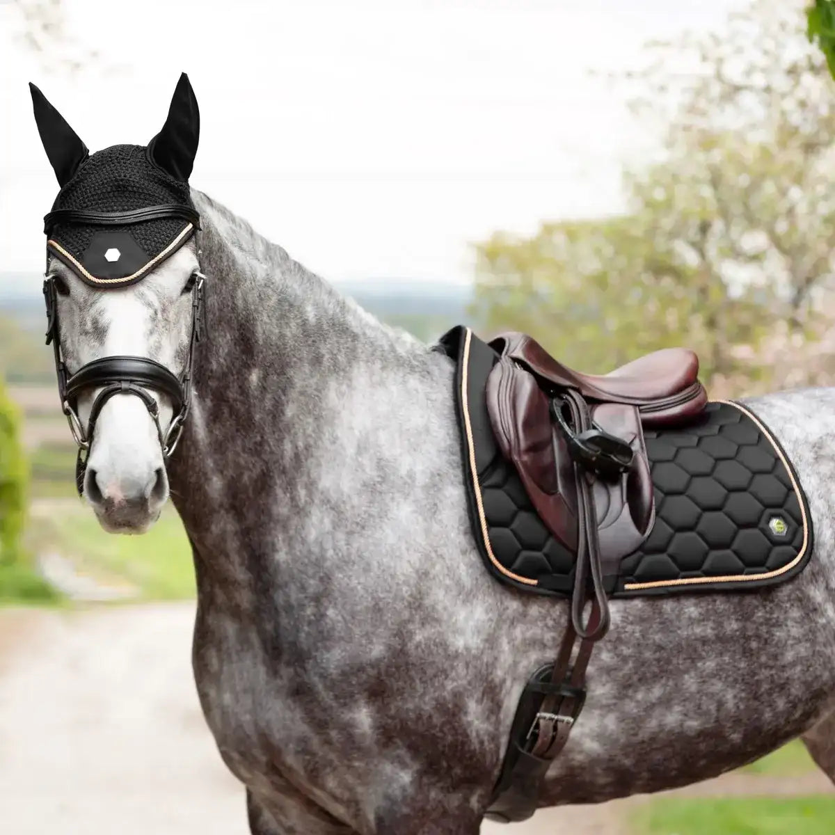 Coldstream Marygold Fly Veil - Top Of The Clops