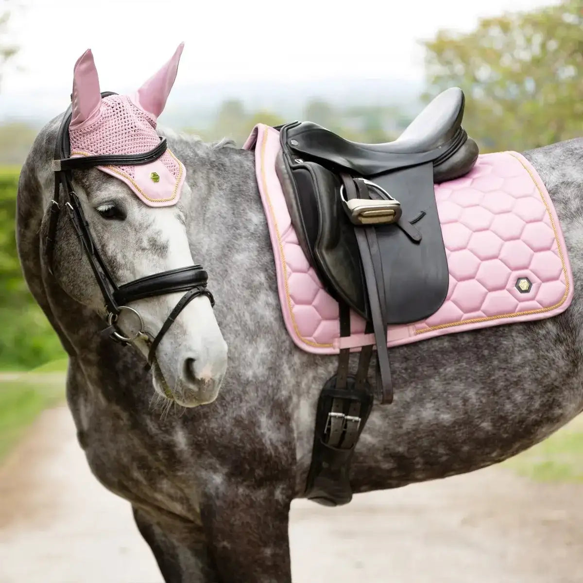 Coldstream Marygold Fly Veil - Top Of The Clops