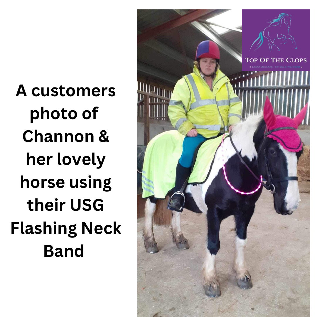 USG Flashing LED Equine Neck / Rein Collar - Top Of The Clops