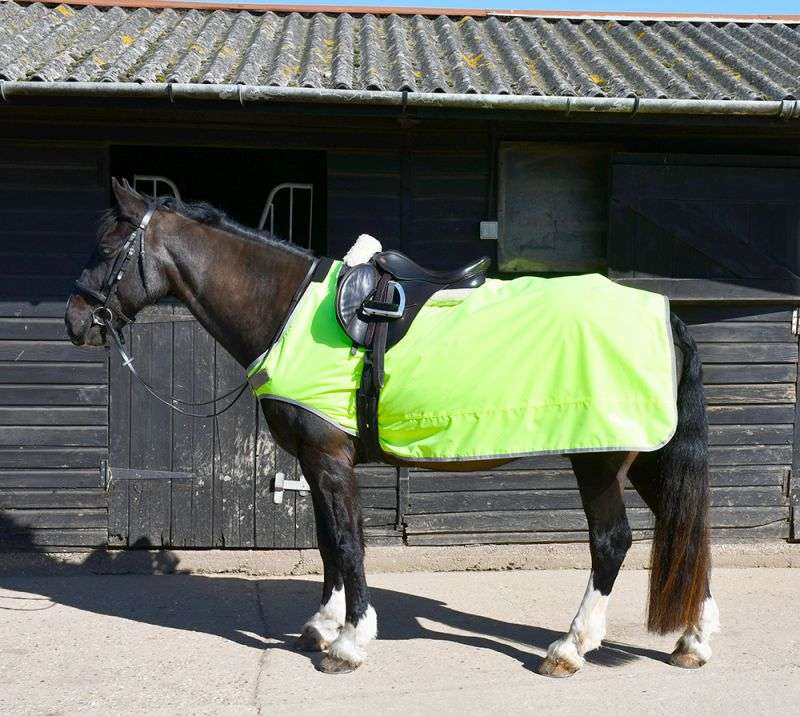 Rhinegold Waterproof Fleece Lined Ride-On Rug