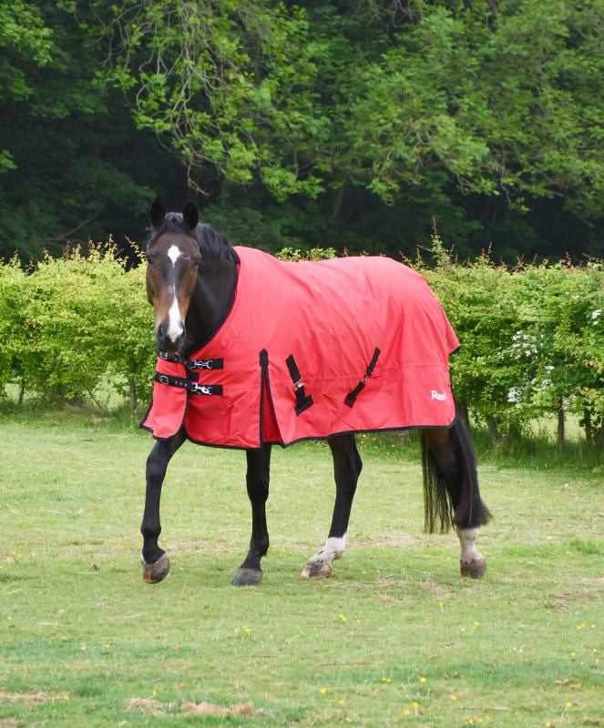 Rhinegold Konig Medium Weight Standard Neck 200G Turnout