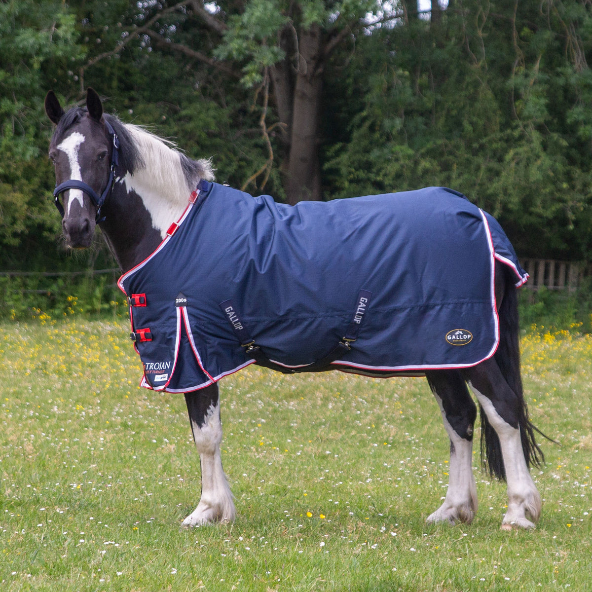 Gallop Trojan Duraproof 5-Point 200g Turnout