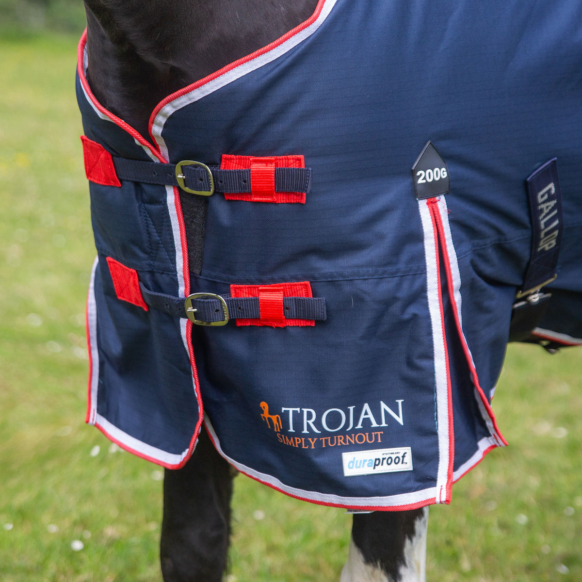 Gallop Trojan Duraproof 5-Point 200g Turnout