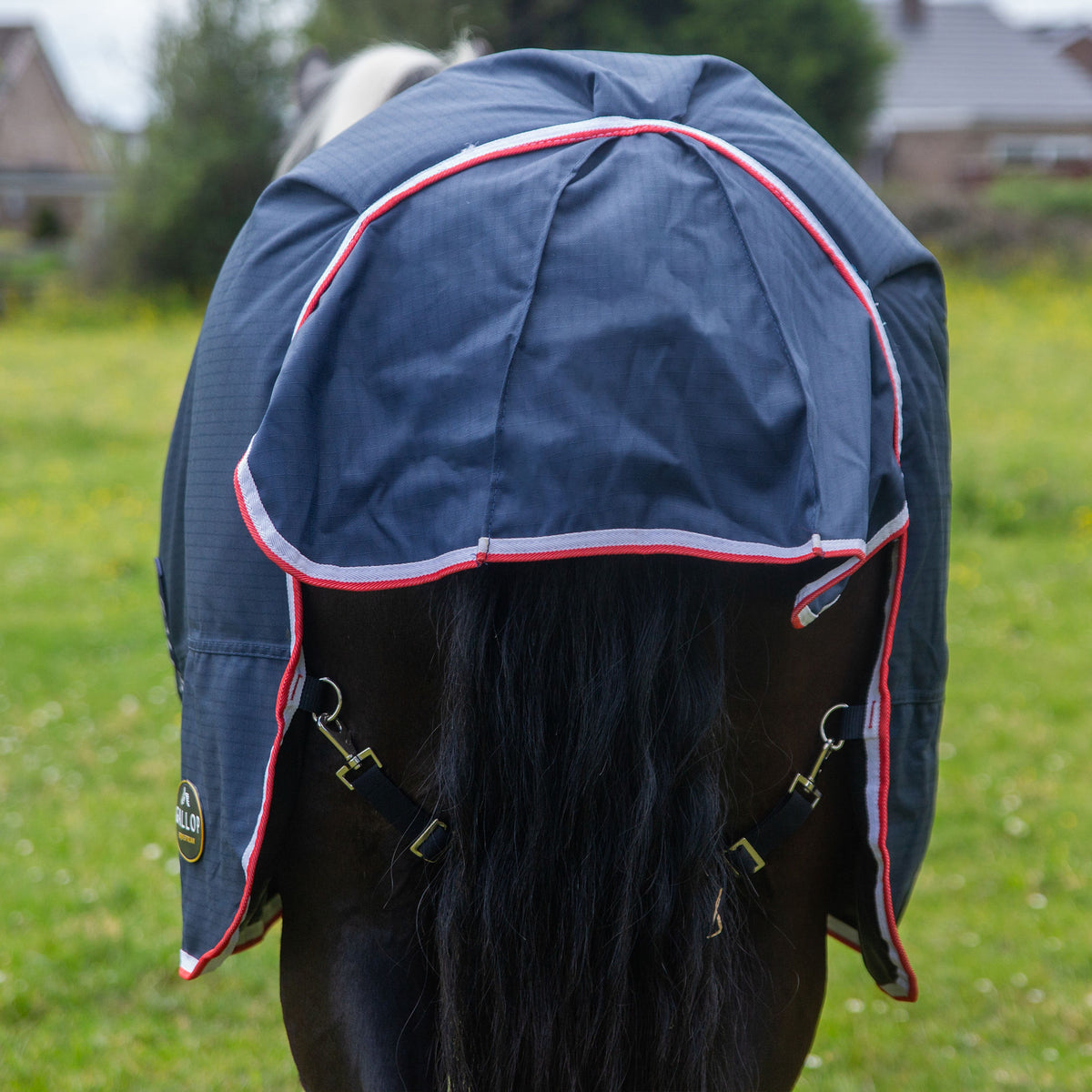 Gallop Trojan Duraproof 5-Point 200g Turnout