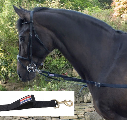 Whitaker ASR Elasticated Side Reins - Top Of The Clops