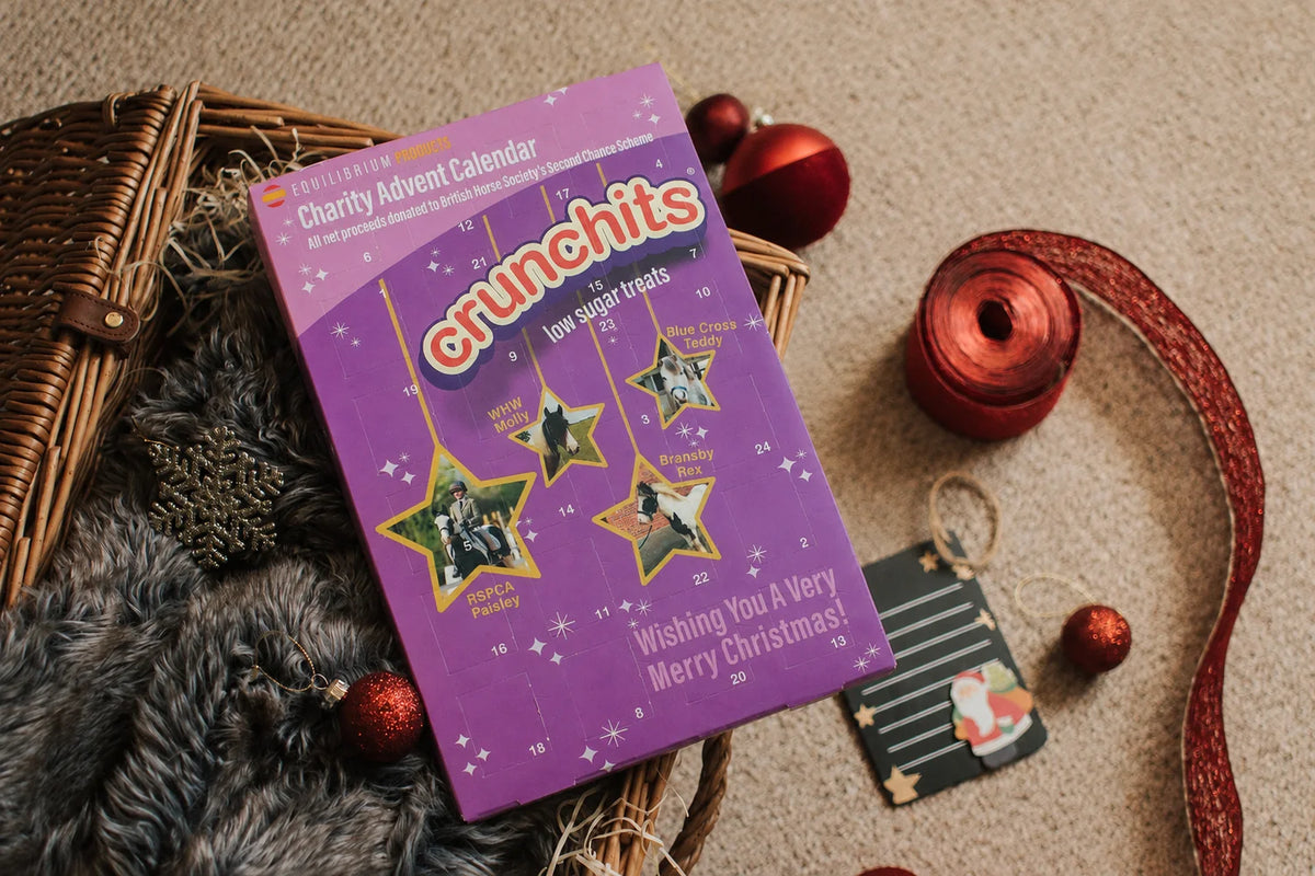 Equilibrium Crunchits Charity Advent Calendar