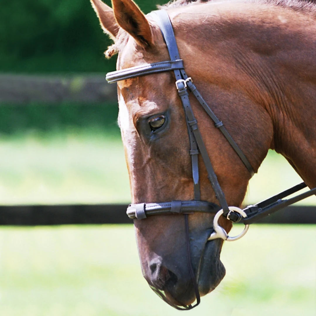 Equilibrium Net Relief Muzzle Net
