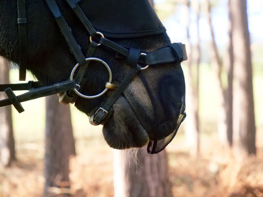 Equilibrium Anatomical Net Relief Muzzle Net