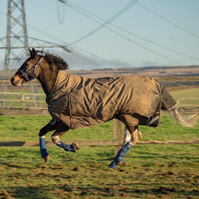 Equilibrium Equi-Chaps Hardy Chaps