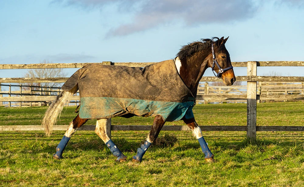 Equilibrium Equi-Chaps Hardy Chaps