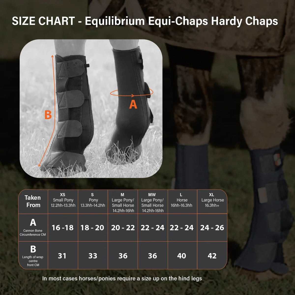 Equilibrium Equi-Chaps Hardy Chaps