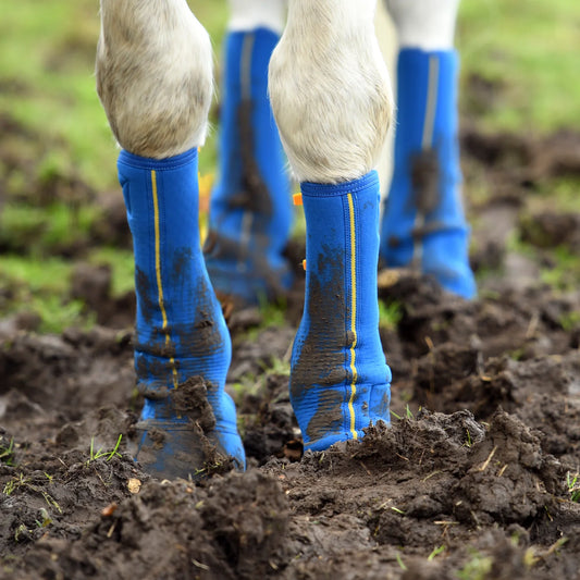 Equilibrium Equi-Chaps Close Contact Chaps