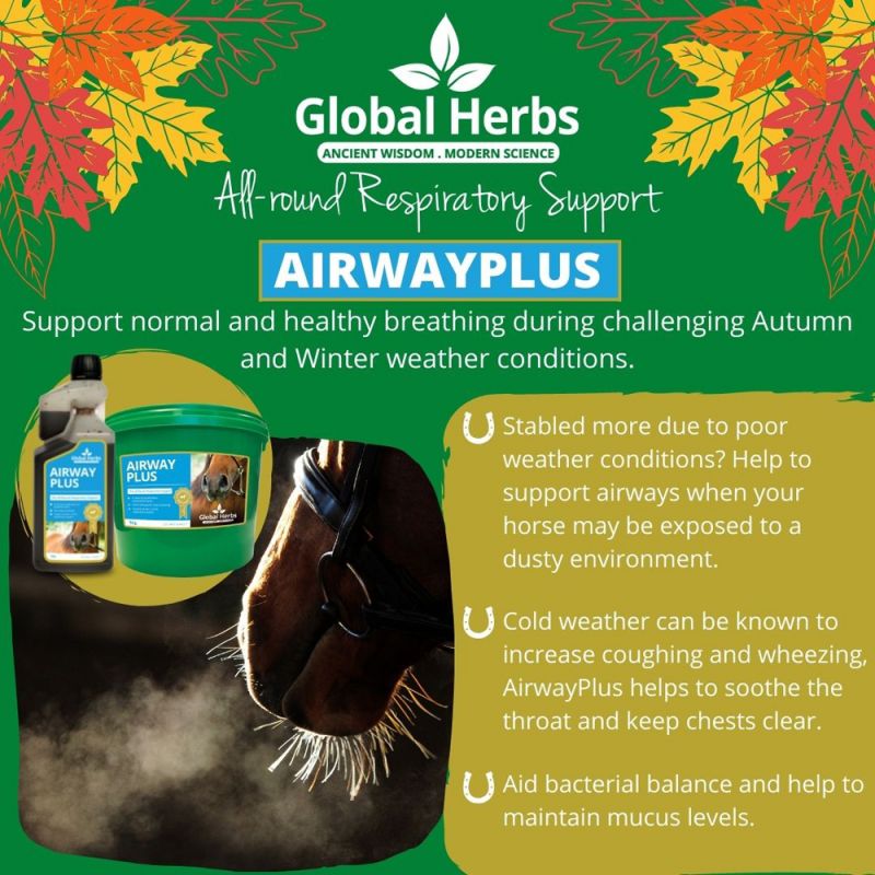 Global Herbs Airway Plus