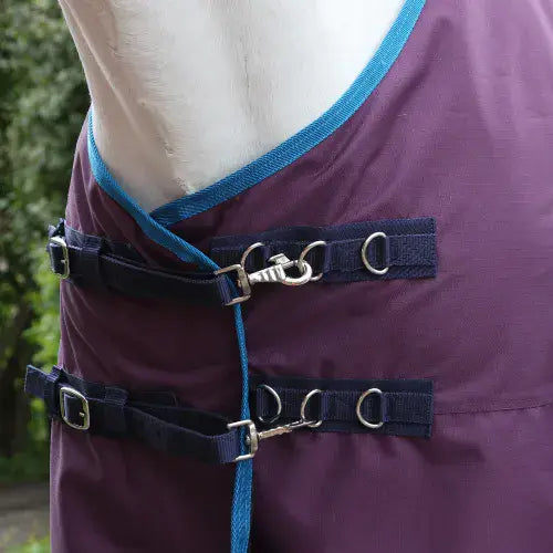Whitaker No Fill 0g Turnout Rug