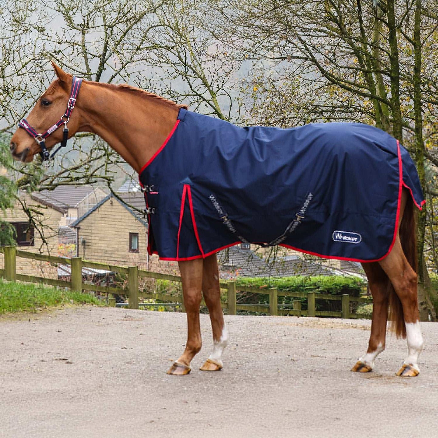 Whitaker Rastrick V2 No Fill 0G Turnout