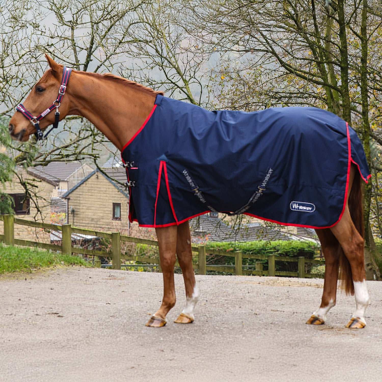 Whitaker Rastrick V2 No Fill 0G Turnout