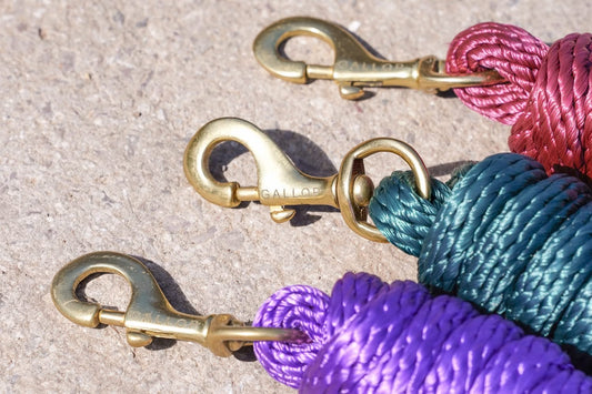 Gallop Deluxe Poly Leadrope with Solid Brass Trigger Clip