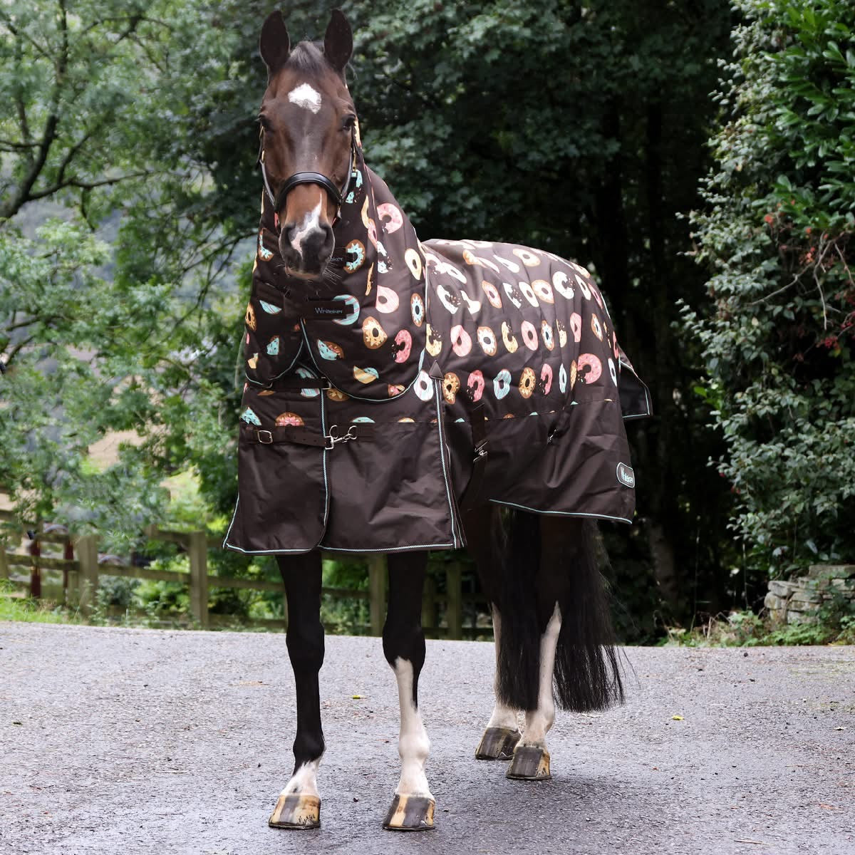 Whitaker Southbank 200g Combo Turnout Rug - Donut Print