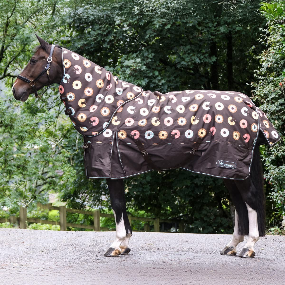 Whitaker Southbank 200g Combo Turnout Rug - Donut Print