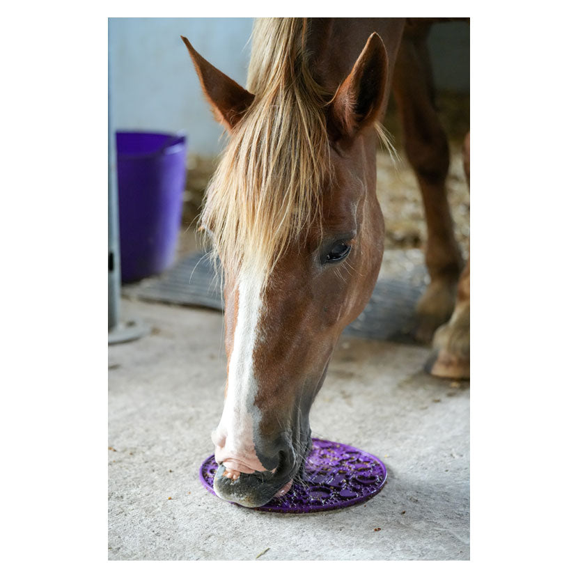 Likit Graze Paste - Top Of The Clops