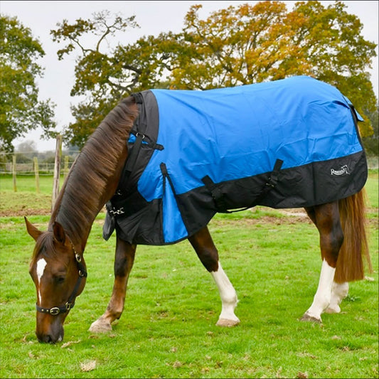 Rhinegold Phoenix Outdoor Rug