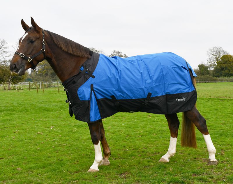 Rhinegold Phoenix Outdoor Rug