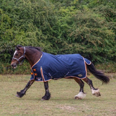 Gallop Trojan 100g Duraproof 5-Point Turnout
