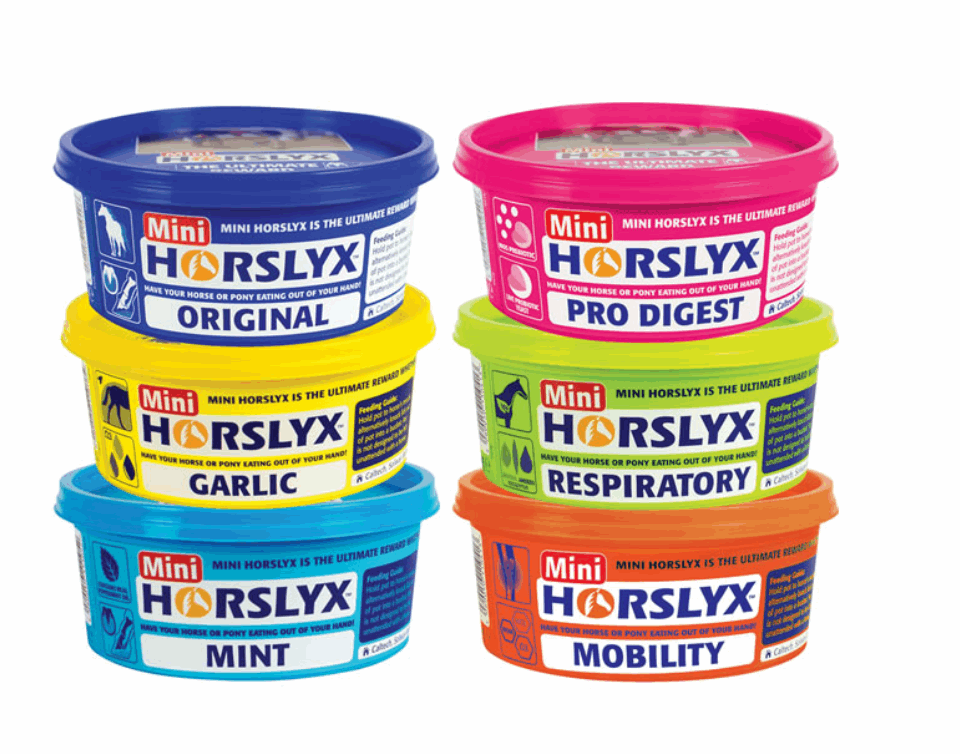 Horslyx Mini - Various Flavours - Top Of The Clops