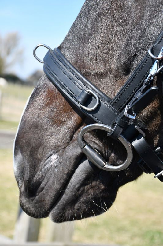 Rhinegold Leather Lunge Cavesson With Detachable Bit Attachment
