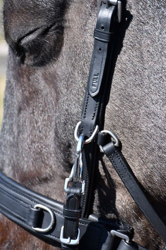Rhinegold Leather Lunge Cavesson With Detachable Bit Attachment