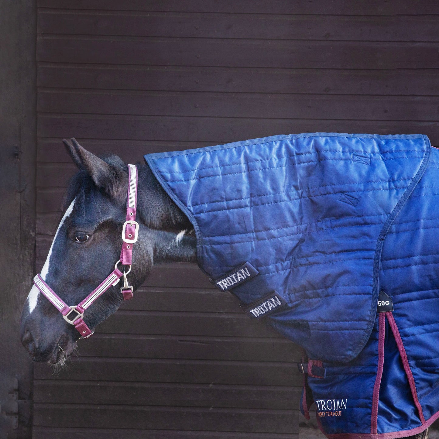 Gallop Trojan 50g 4-Point Neck Cover