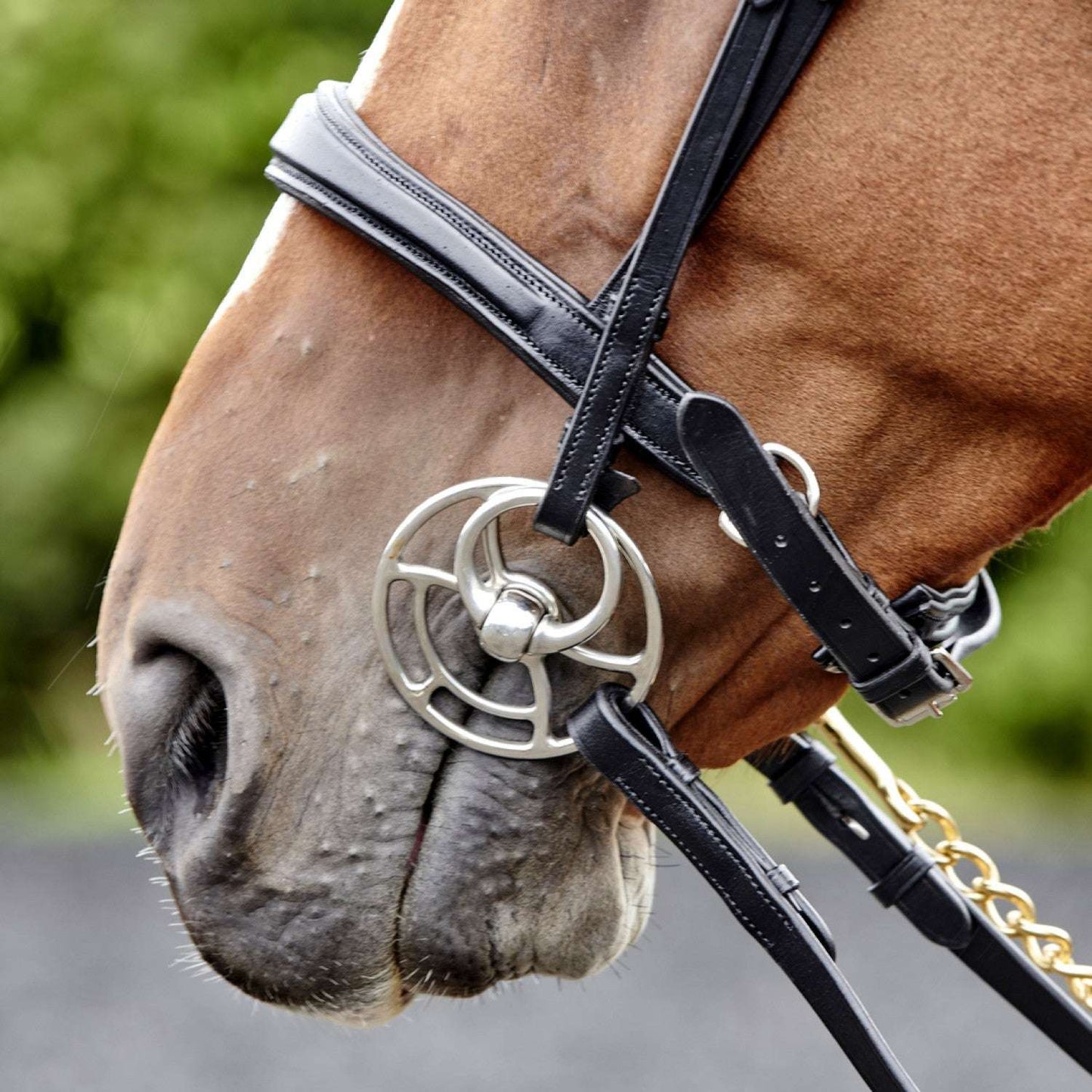 Whitaker Lynton Snaffle Bridle with 2 browbands