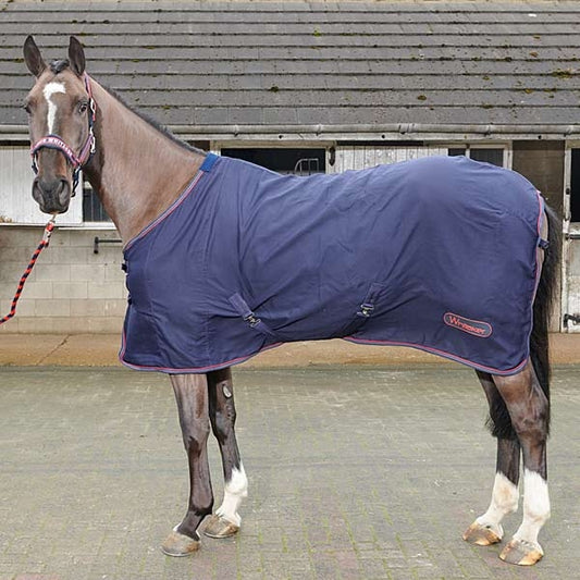 Whitaker Rastrick Multipurpose Rugs