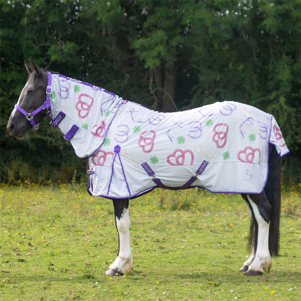 Gallop Bits Of Luck Fly Rug