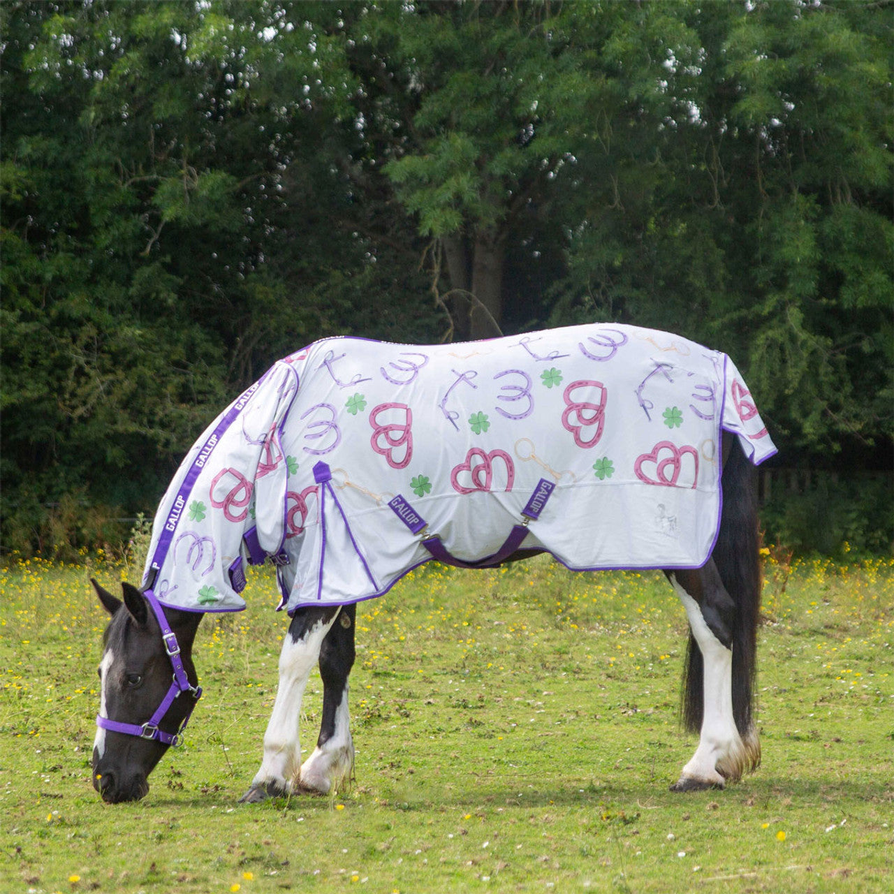 Gallop Bits Of Luck Fly Rug