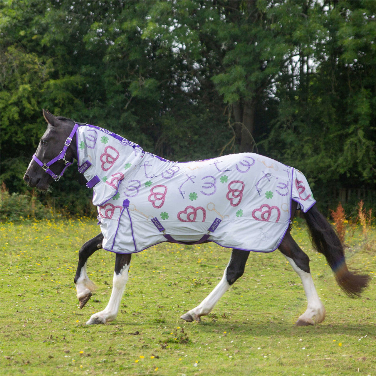 Gallop Bits Of Luck Fly Rug