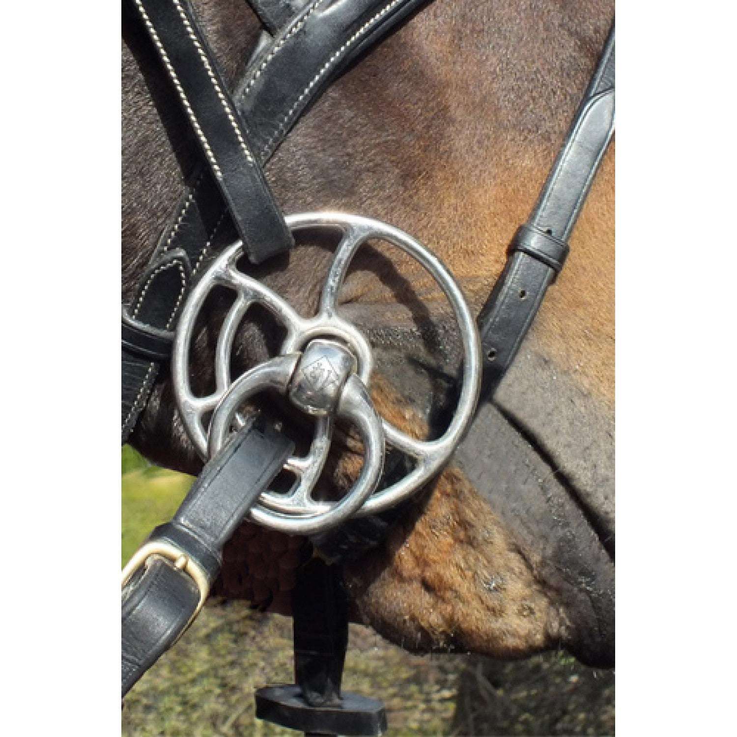 Whitaker Bullet Mouth Universal Bit