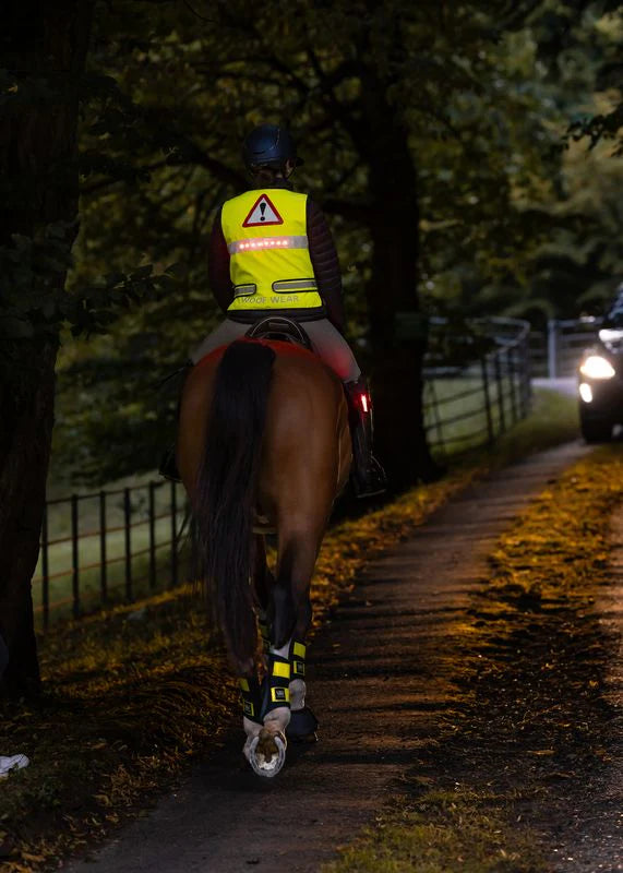 Woof Wear LED Hi Vis Riding Vest