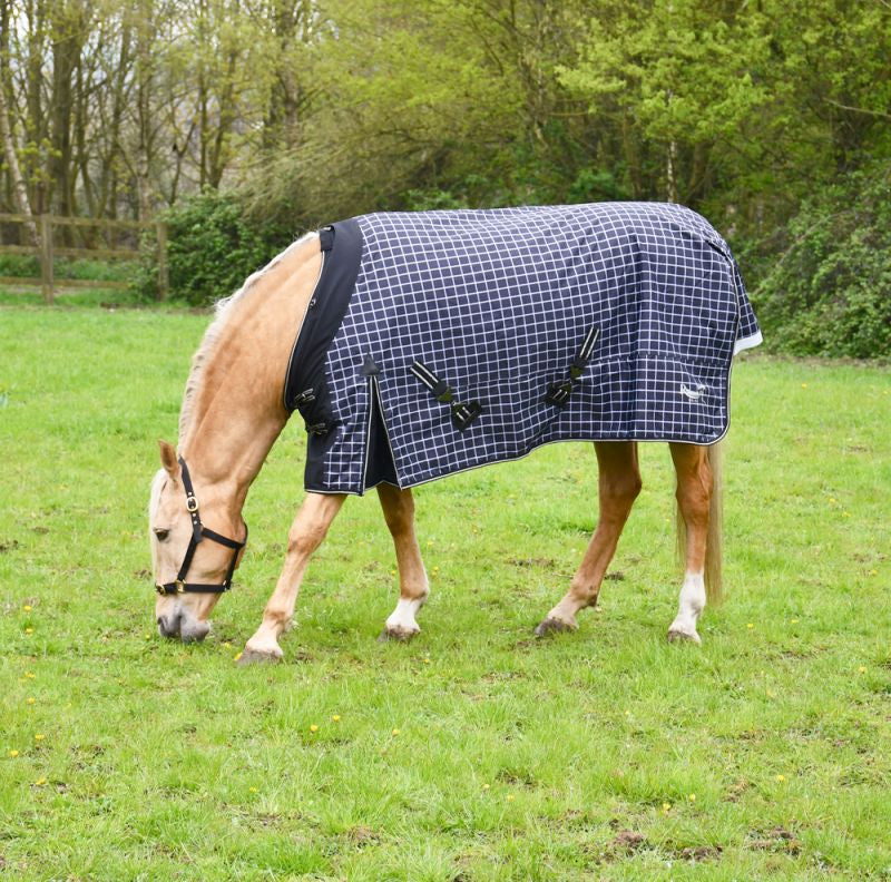 Rhinegold Montpelier Standard Neck 100g Turnout