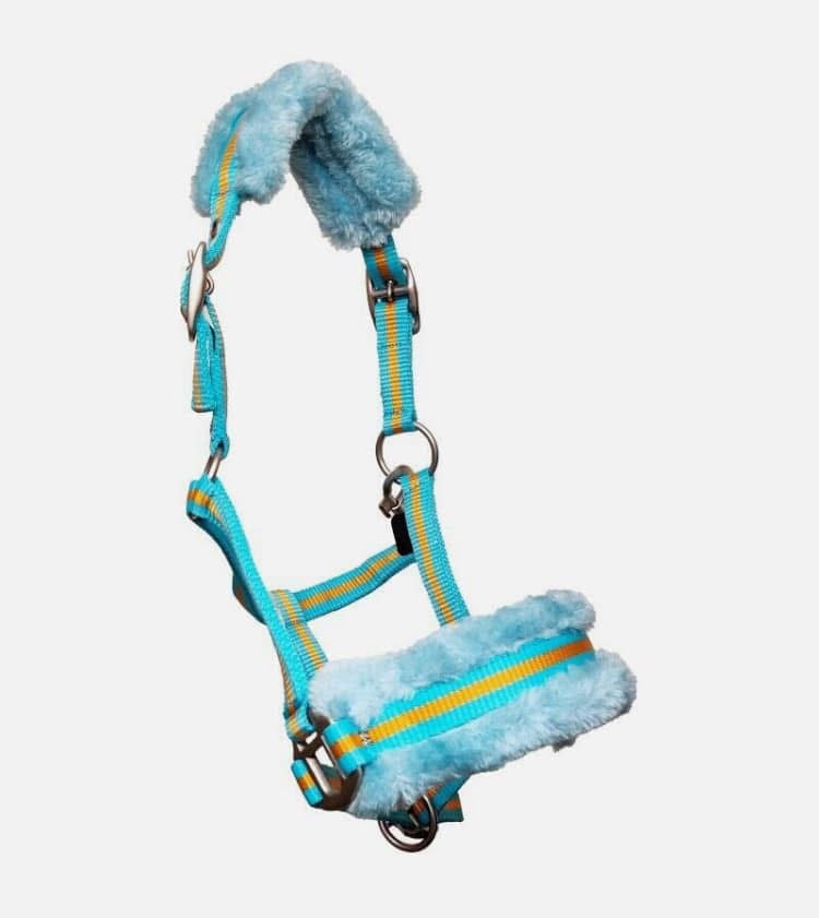 Sheldon Mini Shetland and Shetland Headcollar