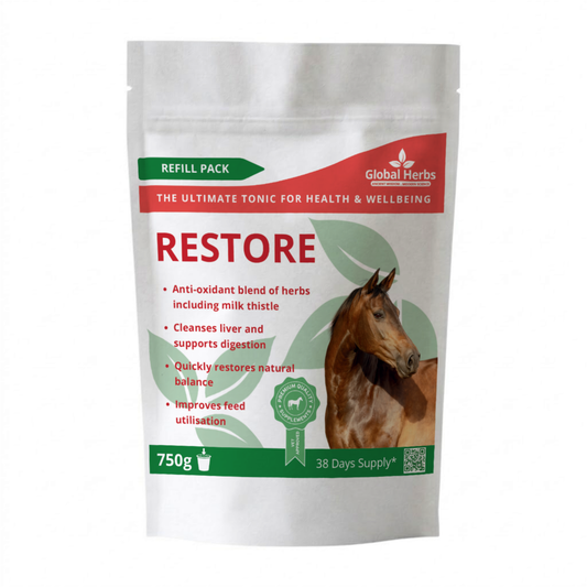 Restore Refill Pouch 750g - Global Herbs - Top Of The Clops