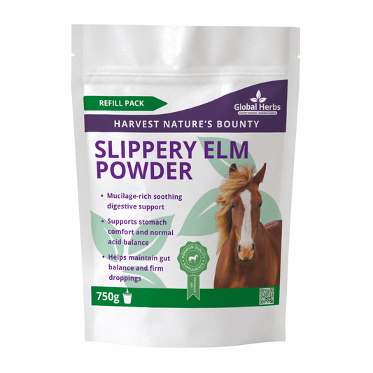 Slippery Elm Powder Refill Pouch 750g - Global Herbs - Top Of The Clops