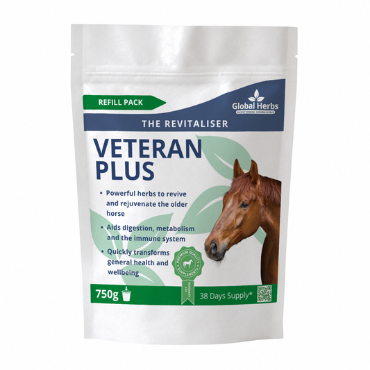Veteran Plus Refill Pouch 750g - Global Herbs - Top Of The Clops