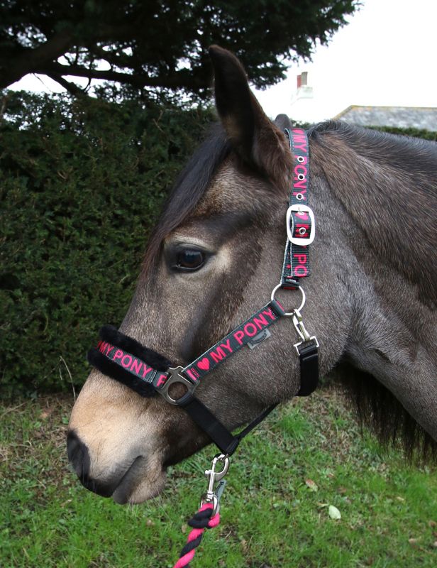 Rhinegold Love My Pony Headcollar & Lead Rope Set - Top Of The Clops