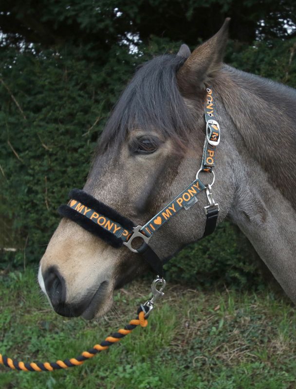 Rhinegold Love My Pony Headcollar & Lead Rope Set - Top Of The Clops