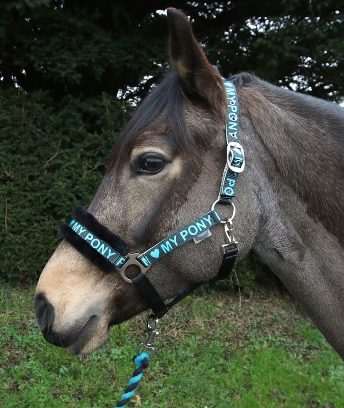 Rhinegold Love My Pony Headcollar & Lead Rope Set - Top Of The Clops