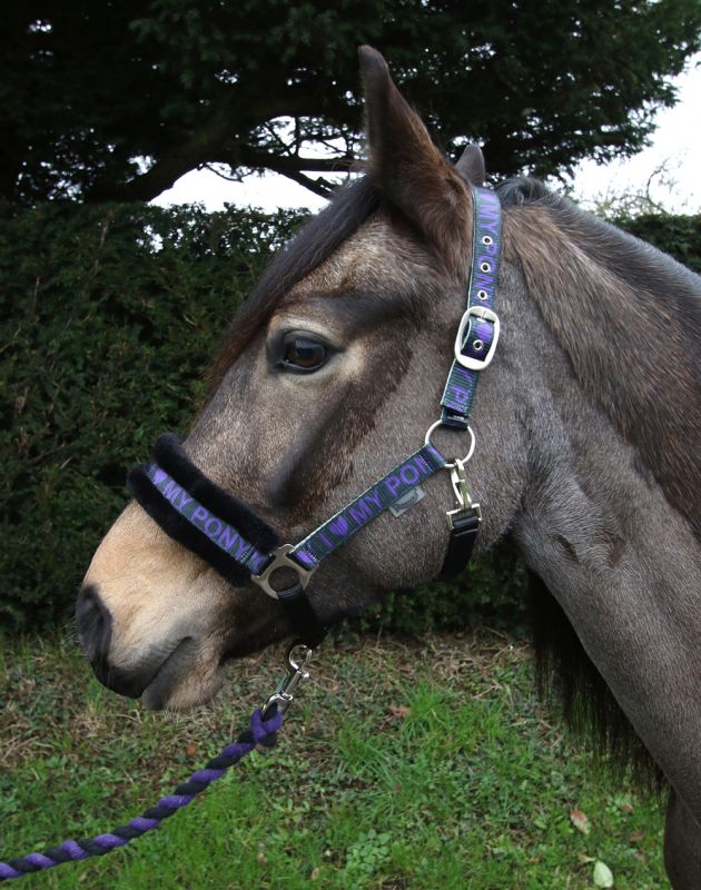 Rhinegold Love My Pony Headcollar & Lead Rope Set - Top Of The Clops