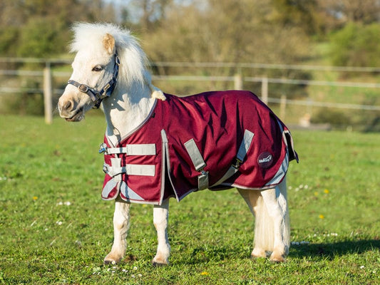MINI 0g Turnout Rug - Burgundy