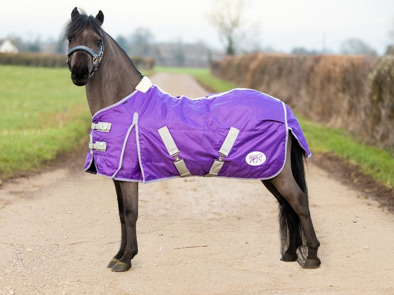 Mini 100g Stable Rug - Purple