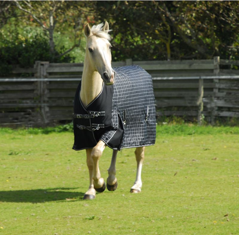 Rhinegold Montpelier Standard Neck 100g Turnout - Top Of The Clops